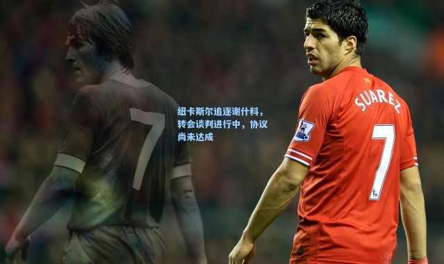 海星体育直播_纽卡斯尔追逐谢什科，转会谈判进行中，协议尚未达成