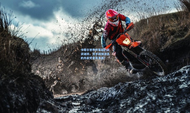 海星体育直播官网|卡塔尔世界杯背后的薪资谜团，洗手间保洁员的月薪究竟有多高？