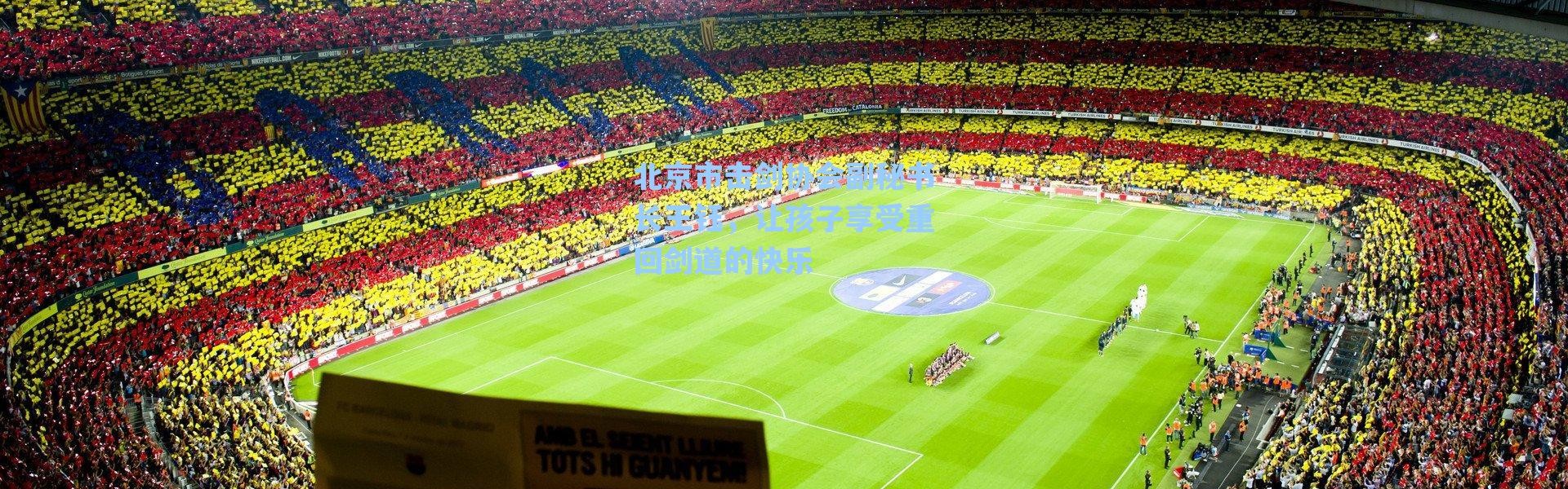 海星体育直播：北京市击剑协会副秘书长王钰，让孩子享受重回剑道的快乐