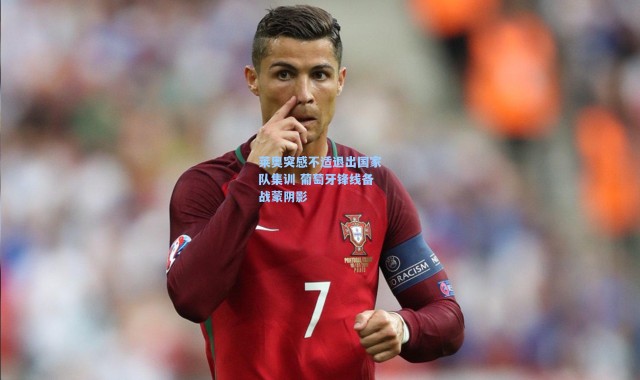 海星体育直播官网|莱奥突感不适退出国家队集训 葡萄牙锋线备战蒙阴影