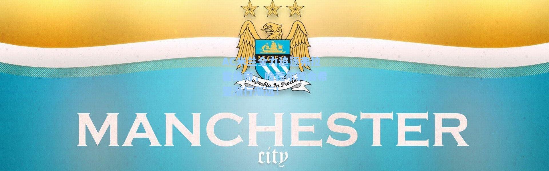 海星体育官网|AC米兰全力追逐弗拉霍维奇，哈德尔转会希望渐行渐远！