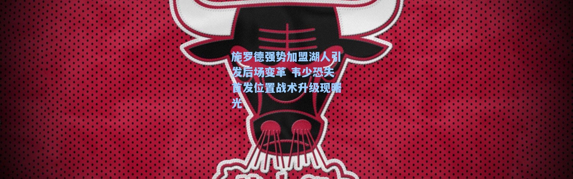 海星体育直播官网|施罗德强势加盟湖人引发后场变革 韦少恐失首发位置战术升级现曙光