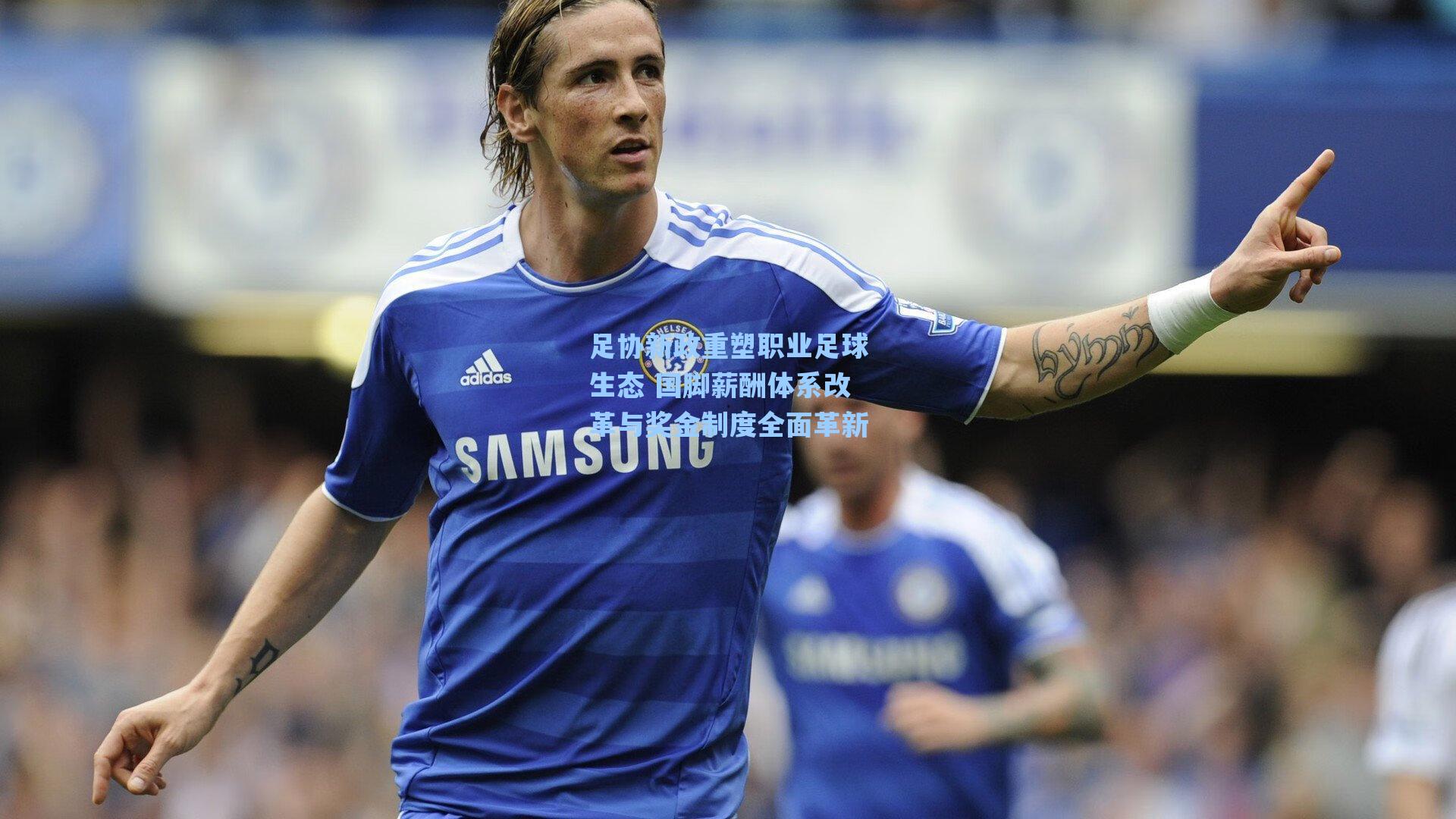 足协新政重塑职业足球生态 国脚薪酬体系改革与奖金制度全面革新